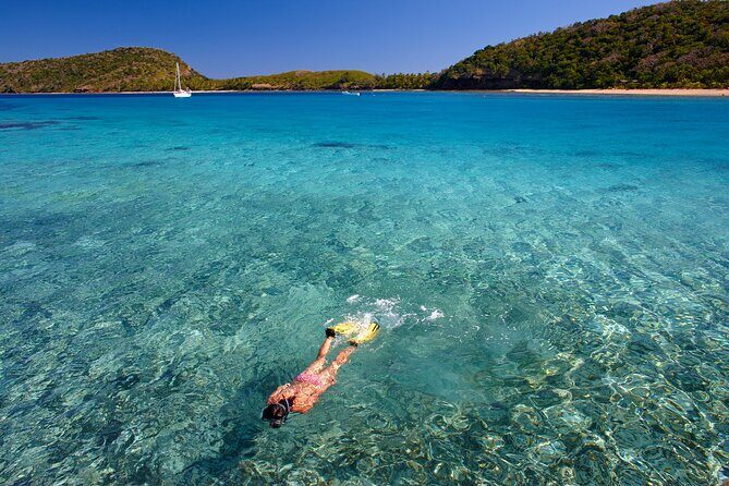 Mantaray Island Day Trip with Lunch - Good To Know