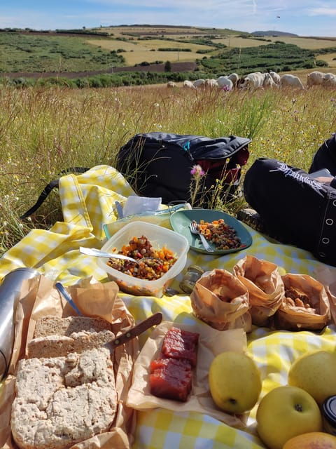 Manteigas: Serra da Estrela Shepherd Path Hike with Shepherd - Final Thoughts: Is It Worth It?