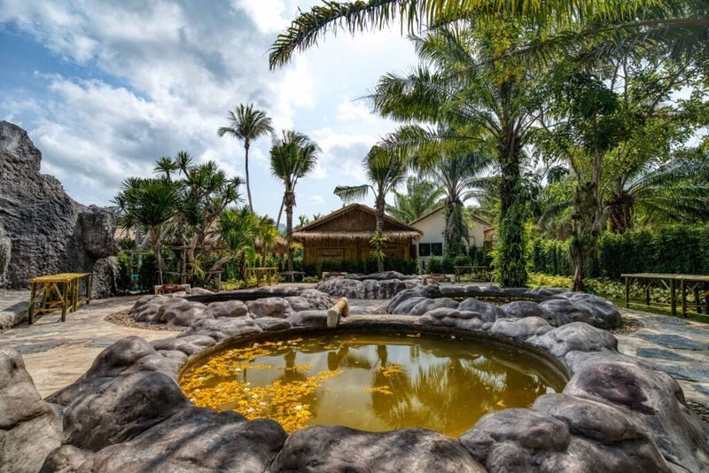 Mantra Forest Spa in Phang Nga [Phuket/Khao Lak Transfer Available] - The drive and the transfer choices