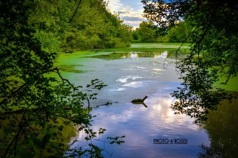 Mantua: Morning boat tour + Afternoon: guided visit to the city center - Good To Know