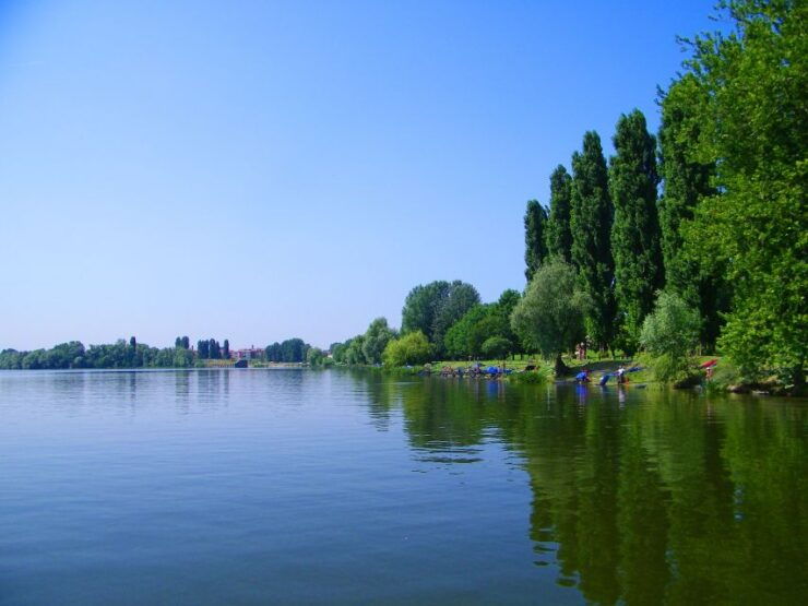 Mantua: Town Highlights and Monuments Walking Tour - Tour Description