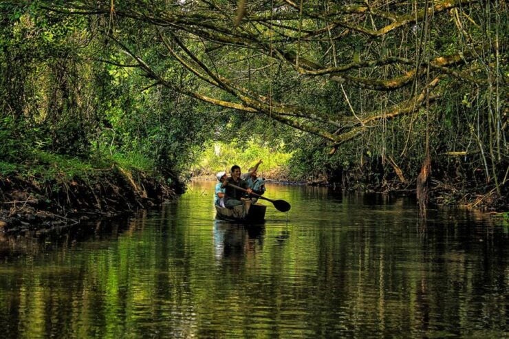 Manu Amazon Tours 5 Days - Tour Details and Booking Flexibility