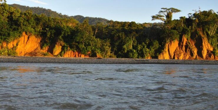 Manu Jungle Tour 3 Days - Booking Details