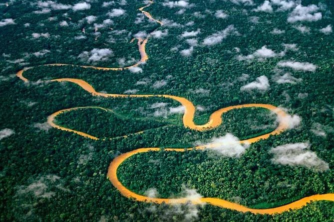 Manu Jungle Tour (3 Days) - Wildlife Encounters