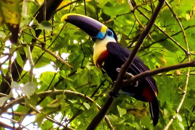 Manu Jungle Tour (3 Days) - Accommodation and Meals