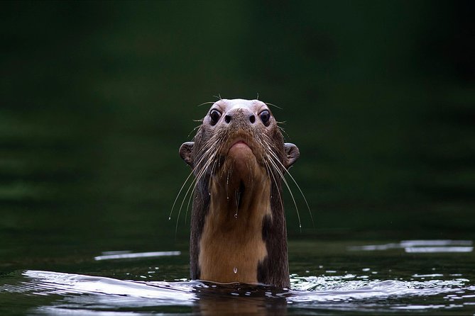 Manu Jungle Tour (3 Days) - Booking Information