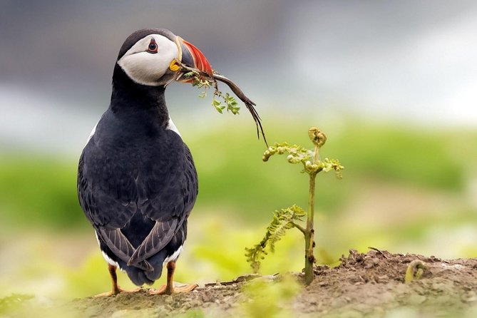 Manu Jungle Tour (3 Days) - The Sum Up