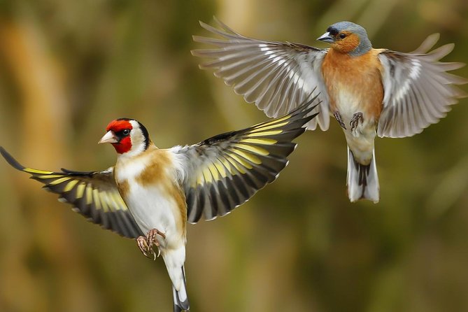 Manu Jungle Tour (4 Days) - Logistics and Accommodation