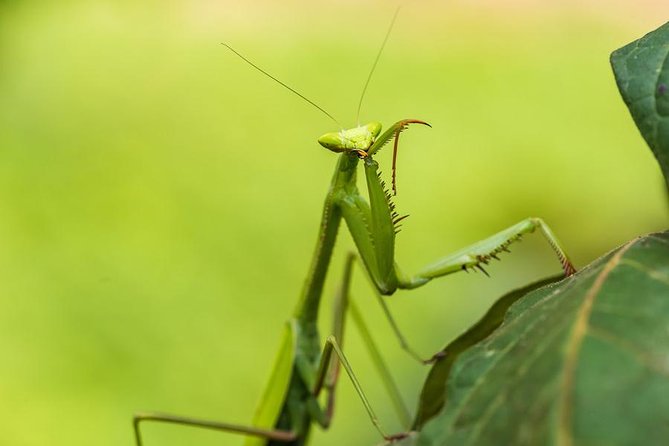 Manu Jungle Tour (4 Days) - Tips and Additional Information