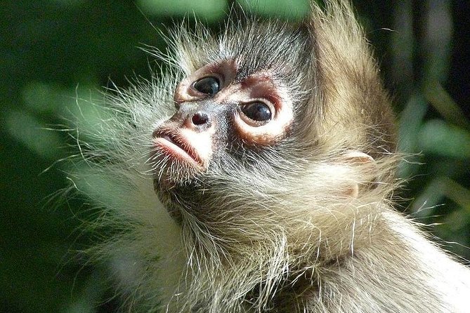 Manu National Park: 4-Day All-Inclusive Tour From Cusco - Tour Highlights