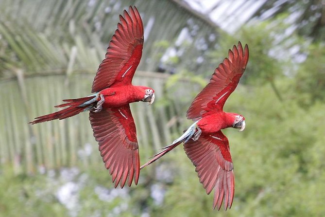 Manu National Park: 4-Day All-Inclusive Tour From Cusco - Pricing and Booking Information