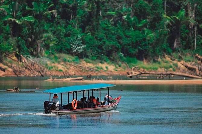 Manu National Park: 4-Day All-Inclusive Tour From Cusco - Tour Itinerary