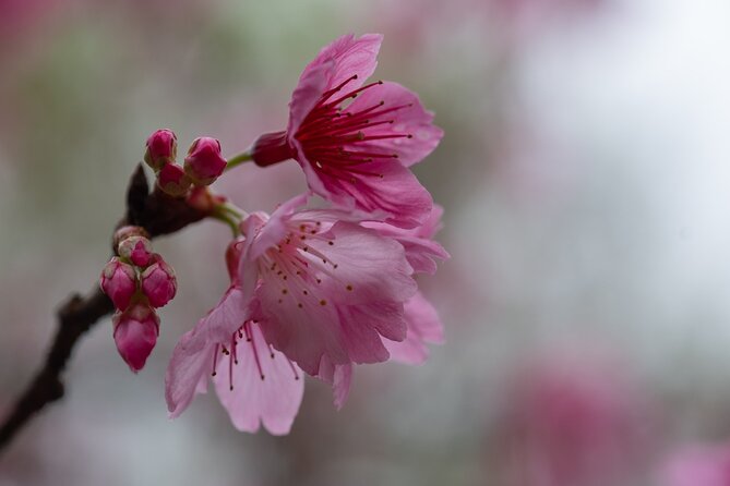 Manu National Park 4 Days - Day 4: Departure and Farewell