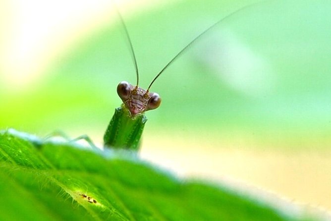 Manu National Park: 6-Day Tour From Cusco - Reviews and Ratings