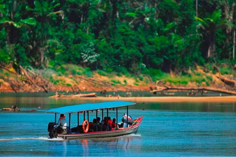 Manu National Park Small Group Tour from Cusco - Three Days in Manu, Not a Quick Amazon Stop