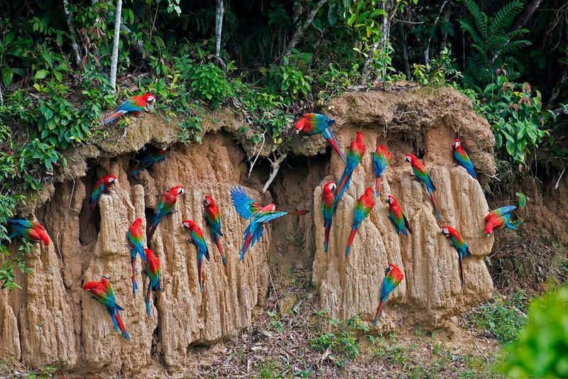 Manu National Park Small Group Tour from Cusco - Is $843.35 Good Value?