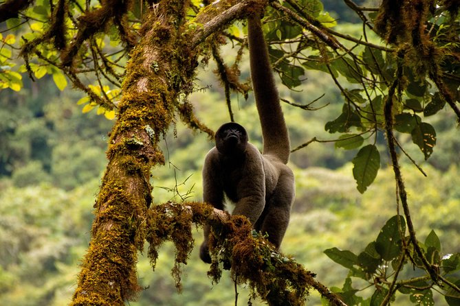 Manu National Park Tour 4days/3night - Additional Information and Policies