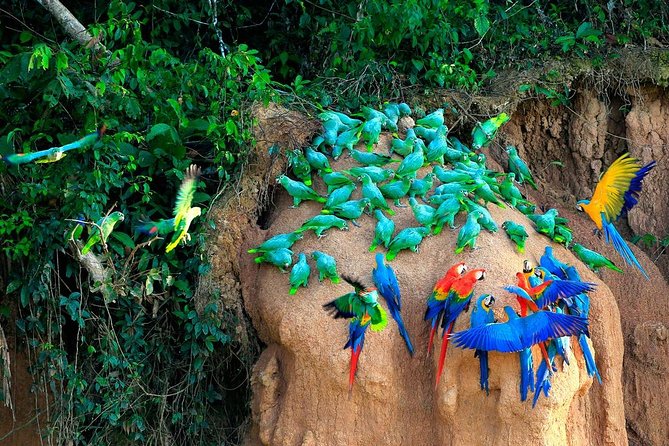 Manu National Park Tour 4days/3night - Directions