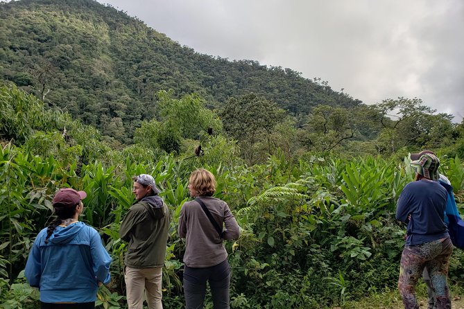 Manu National Park Tour 4days/3night - Common Questions