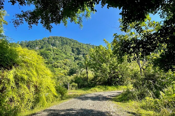 Manuel Antonio Birding Tour With Naturalist and Bird Expert (Feb ) - Tour Overview