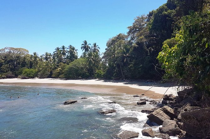 Manuel Antonio National Park; Beach & Sightseeing Day Trip From San Jose - Tour Details