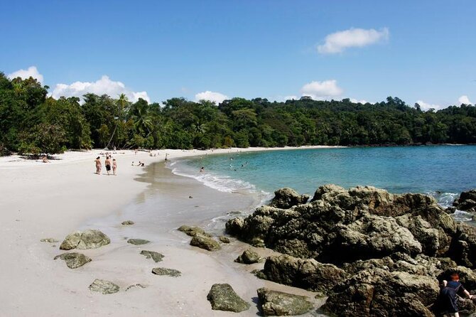 Manuel Antonio National Park Full Day Tour From San Jose - Good To Know