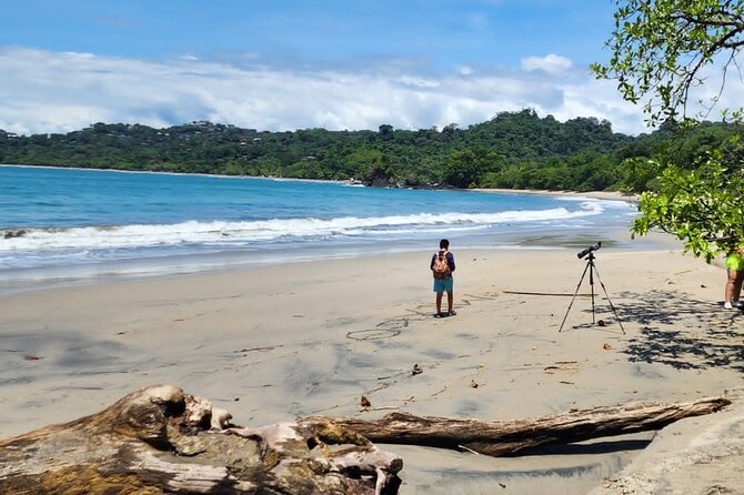 Manuel Antonio National Park Full Day Tour From San Jose - Customer Reviews