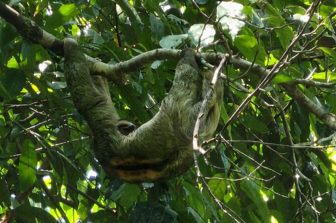 Manuel Antonio National Park Full Day Tour From San Jose - Directions