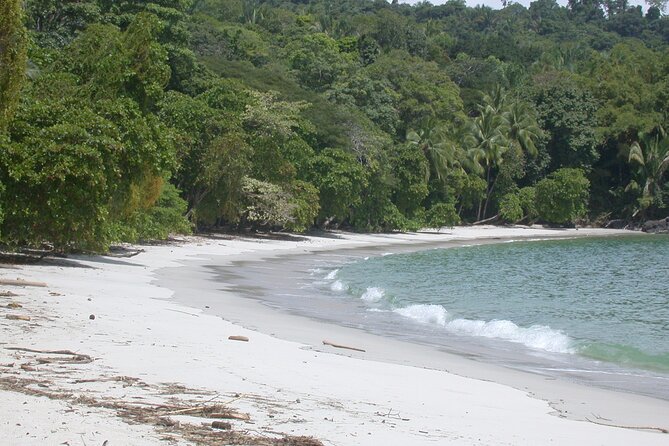 Manuel Antonio National Park Full Day Tour From San Jose - Tour Overview