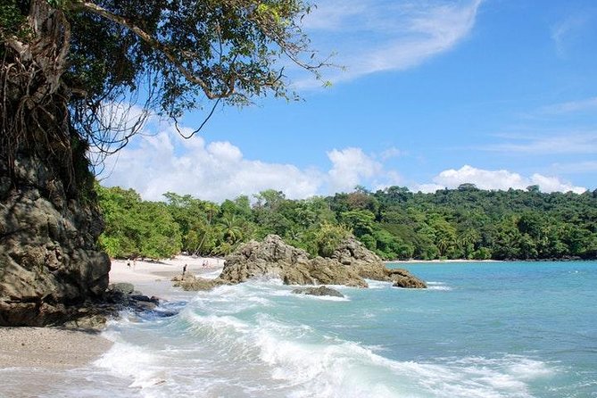 Manuel Antonio National Park One Day Tour From San Jose - Park Activities