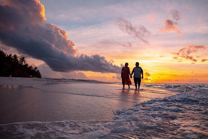Manuel Antonio National Park Transportation up to 10 Passengers - Inclusions