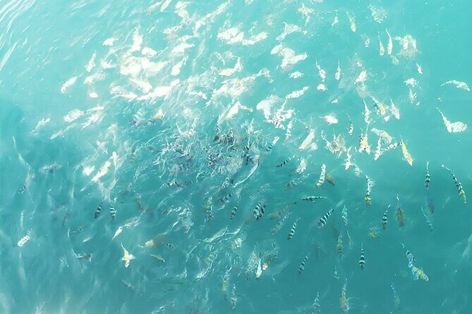 Manukan and Sapi Islands Excursion in Malaysia - Who Should Consider This Tour