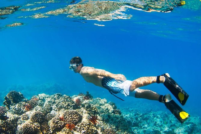Manukan + Sapi + Mamutik + Gaya Island Trip From Kota Kinabalu - Frequently Asked Questions