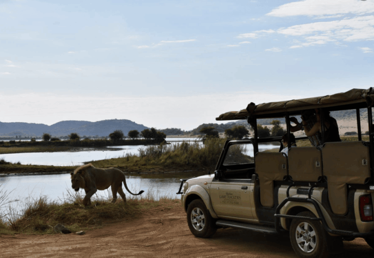Manyane: 6HGame Drive with Lunch - Final Thoughts