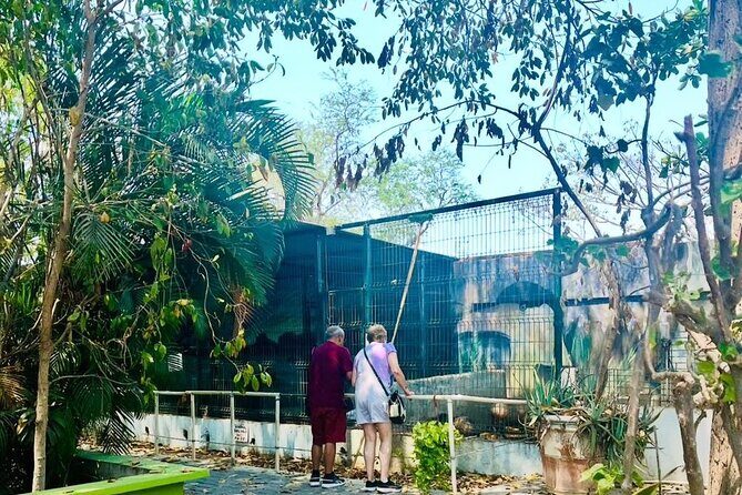 Manzanillo Tour with Transportation and Face-to-face Guide - FAQ