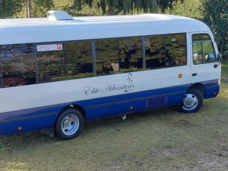 Maori Culture Small Group Afternoon Tour including Te Puia - Is this tour worth it?