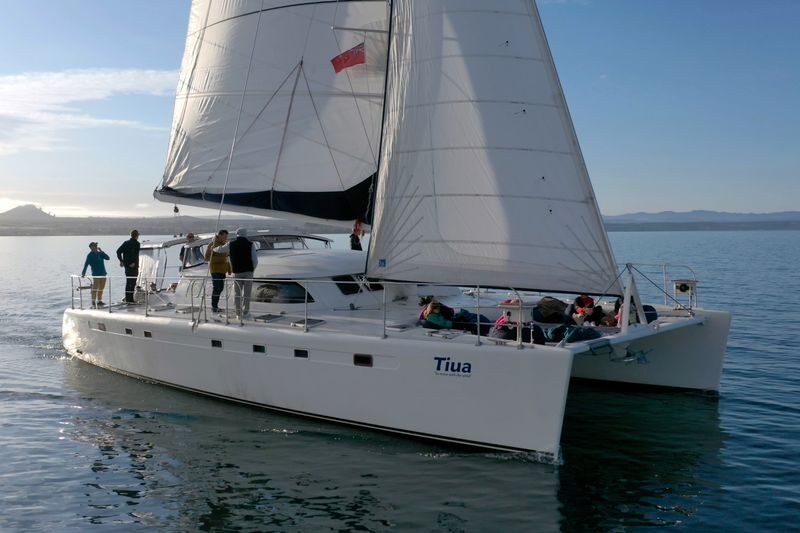 Maori Rock Carvings Taupo - Luxury Sailing Catamaran Tiua - What to know before you sail