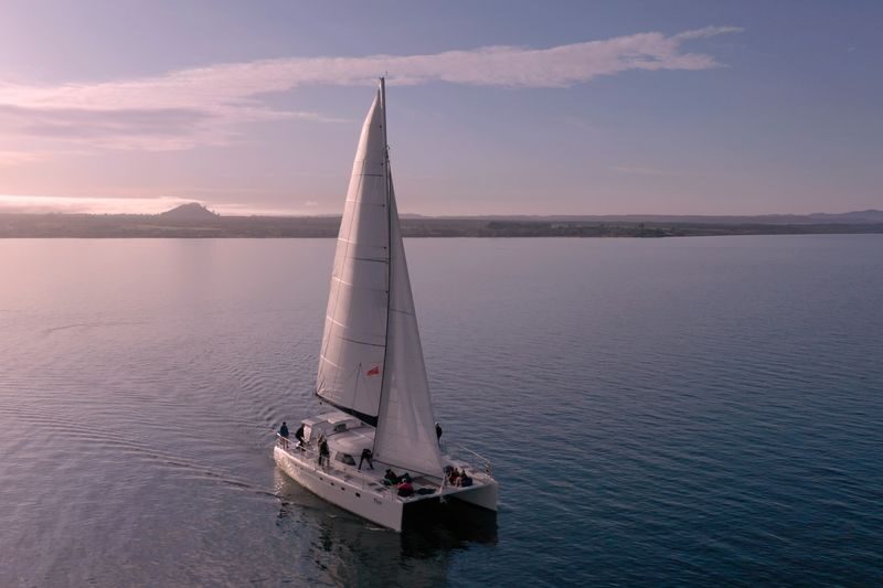 Maori Rock Carvings Taupo - Luxury Sailing Catamaran Tiua - Choosing a departure and judging the price