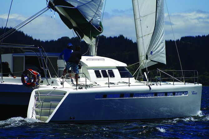 Maori Rock Carvings - Taupo Sailing Adventures - Tiua - The Sum Up