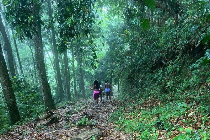 Maracas Waterfall - An In-Depth Look at Maracas Waterfall Tour