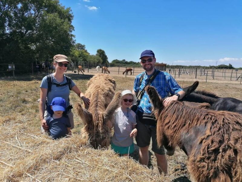 Marais Poitevin: Discovery Day in the Footsteps of the Baudet - Meeting Nathalie at the Park