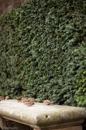 Marais Semi Private Walking Tour - Questions and Support