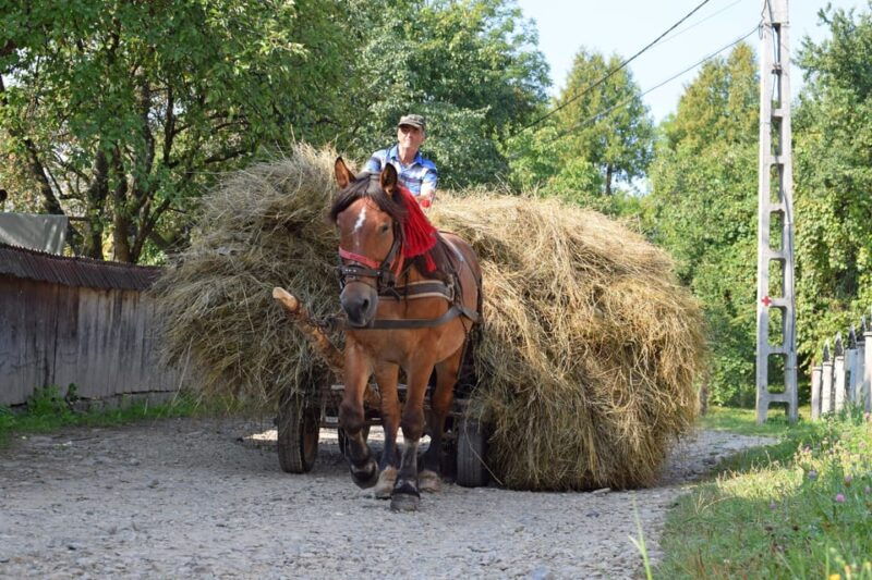 Maramures day tour (from Cluj) - FAQ