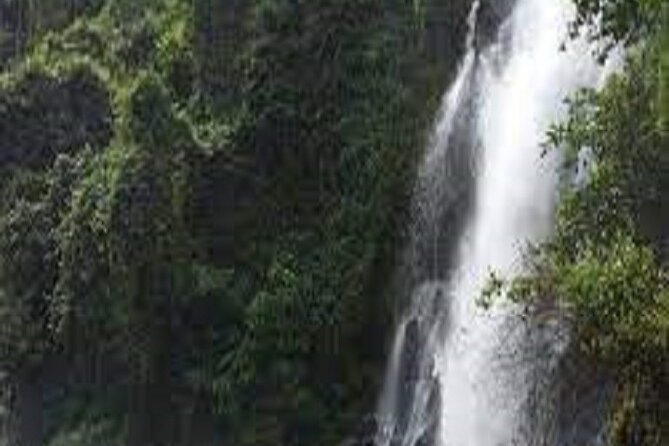 Marangu Day Trip, Waterfall and Village Tour 2024/2025 - Good To Know
