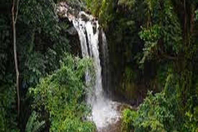 Marangu Day Trip, Waterfall and Village Tour 2024/2025 - Itinerary Details
