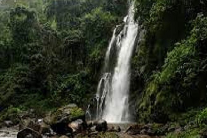 Marangu Day Trip, Waterfall and Village Tour 2024/2025 - Frequently Asked Questions