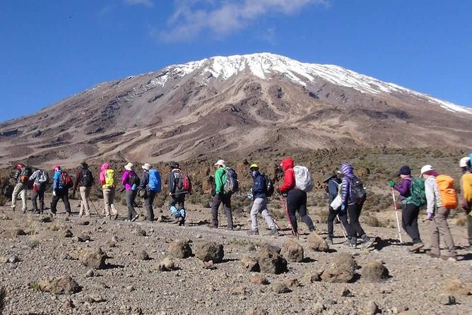 Marangu Route 6 Days 5 Nights/Kilimanjaro Climb - Accommodation and Meals