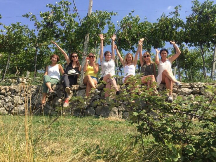 Marano Di Valpolicella: DOP Olive Oil Tasting Experience - Activity Details