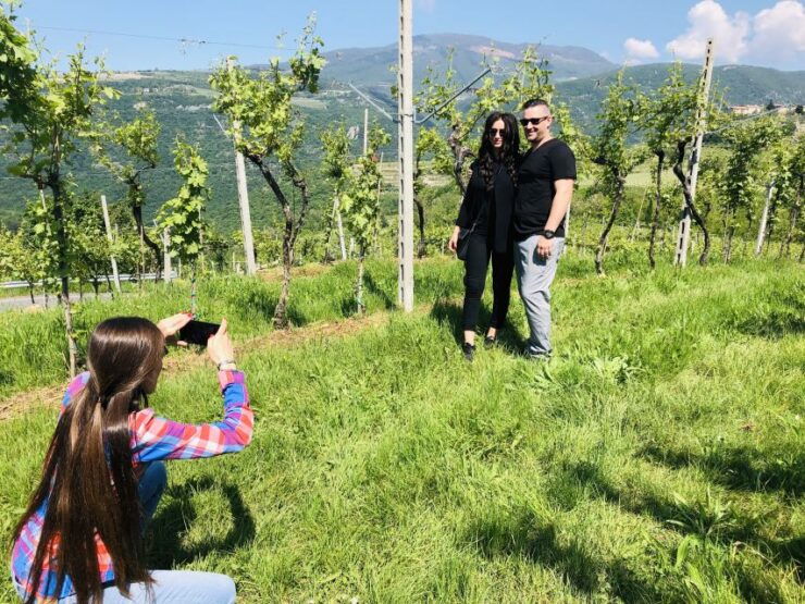 Marano Di Valpolicella: DOP Olive Oil Tasting Experience - Experience Highlights