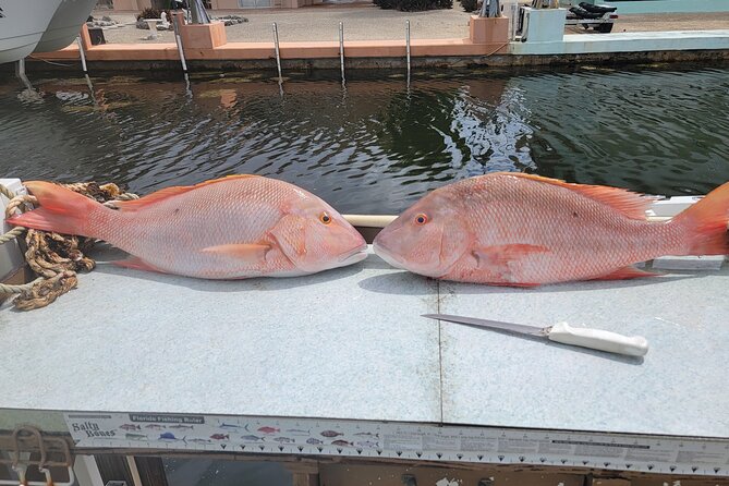 Marathon Florida Keys Fishing Experience - Overview and Inclusions